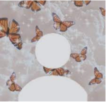 Butterfly_clothes-and-more