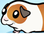 The hamster grouuuuuup