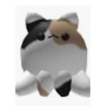 Kitty swaud