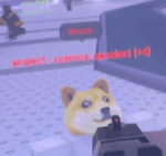 Shiba Household