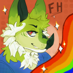 Furry Haven !