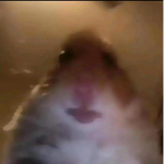Jazzygirl
