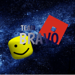 Marine Bravo Team