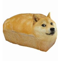 memes