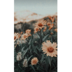 +*happy group+*
