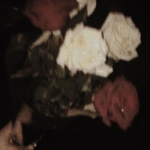 Rose Lowkey