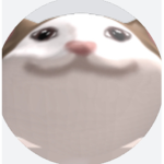 MABYE POP CATS