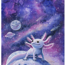 [MINI GALAXY UPDATE BUG FIXES] Steal A Axolotl