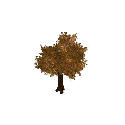 Autumn Tree