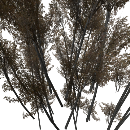 Bush for roblox
