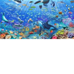 the ocean squad 101