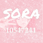 유SORA