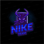 Nike Team Warriors