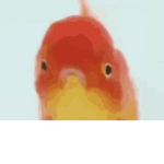 Kunn