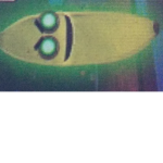 The Banana eats fan club