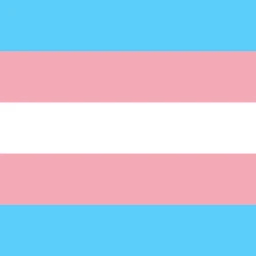 trans town icon