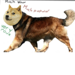 Ball Doge Gangsters