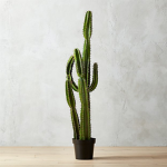 Cactus_Army