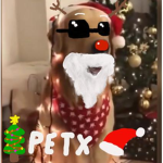PETX1xd