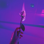 - e u p h o r i a a -