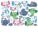 THE AMAZING AXOLOTL GROUP!