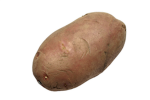 the potato group