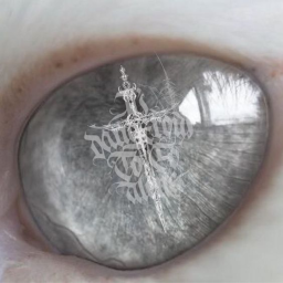 ✧ ://Mu$eo™