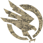Storm's Private Military