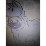 Team LlamaPug