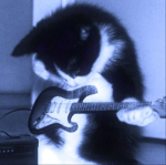 Husky_Emy Fan! TikTok