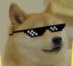 THE DOGE ARMY.!!!
