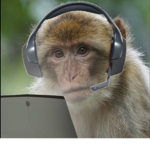 The monke gaming group