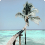 WATERPARK-
