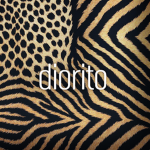 Diorito