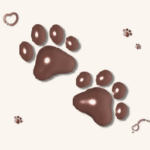 FancyPaws Studio