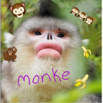 -Monkey Nation-