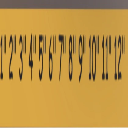 Ruler