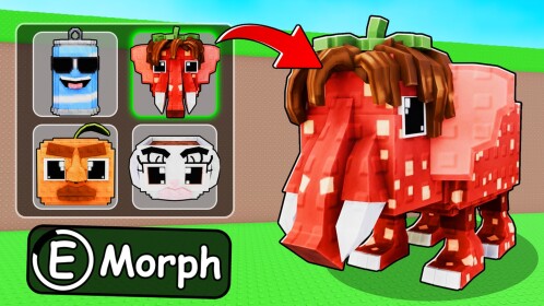 Morph For Brainrots