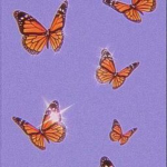 butterfl1es.