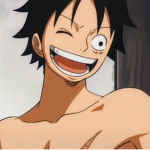 Fans Of One Piece