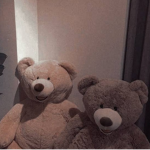 -teddy group-