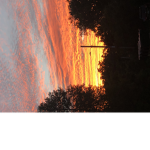 SunSetBay