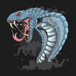 The Cobras Organisation