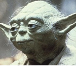 Yodas Cheeseburger Group