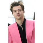 Harry Styles Fan Group :)