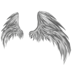 White Angel Wings