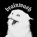 BRA1NWASH