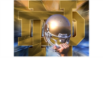 The Norte Dame Fighting Irish