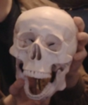 IM DEAD BROS