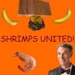 Shrimps United!